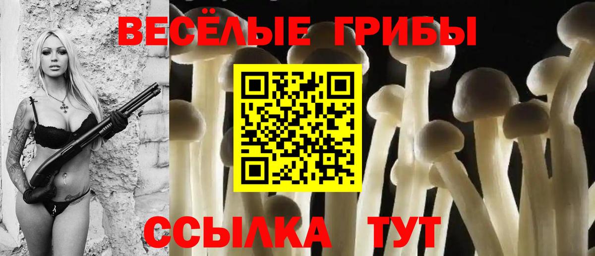 Галлюциногенные грибы MAGIC MUSHROOMS  Вход с VPN  Уссурийск 