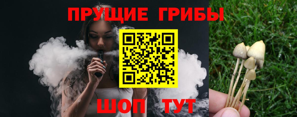 Галлюциногенные грибы Cubensis Уссурийск